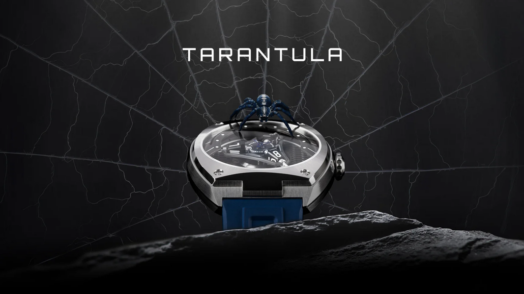 The Dance of the Spider and Time