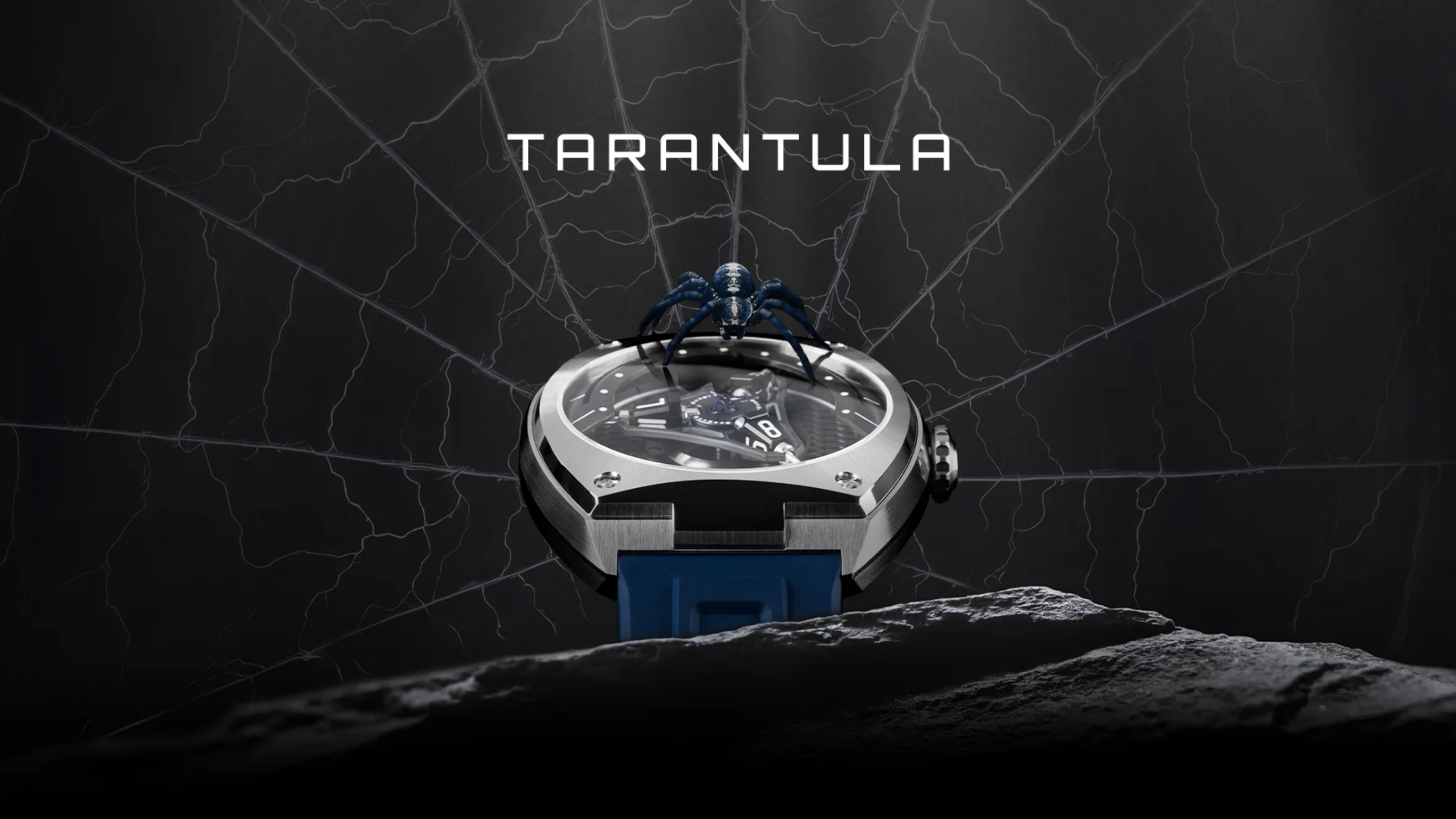 The Dance of the Spider and Time